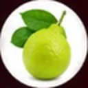 Bergamot