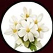 Note illustration: jasmine.