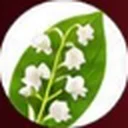 Lily of the valley