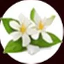Neroli