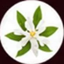 Orange blossom