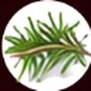 Rosemary